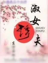《淑女诱夫》小说封面