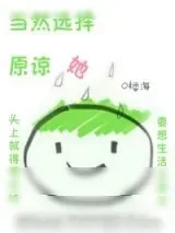 《当然选择原谅她》小说封面