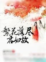 《繁花落尽君如故》小说封面