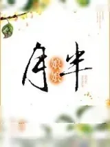 《胖娘娘》小说封面