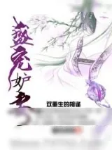 《盛宠妒妻》小说封面
