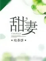 《甜妻》小说封面