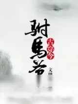 《古穿今之驸马爷》小说封面