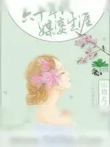 《六十年代媒婆生涯》小说封面