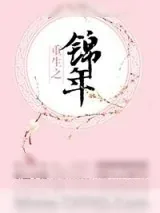 《重生之锦年》小说封面