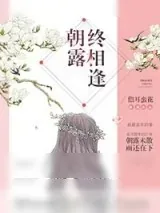 《朝露终相逢》小说封面