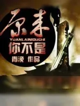《原来你不是》小说封面