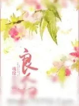 《良人归》小说封面