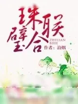 《珠联璧合》小说封面