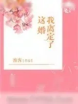 《这婚我离定了》小说封面