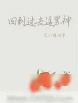 《回到过去追男神》小说封面