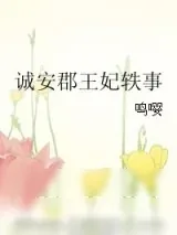 《诚安郡王妃轶事》小说封面