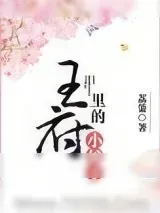 《王府里的小娘子》小说封面