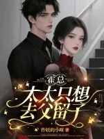 《霍总，太太只想去父留子》小说封面