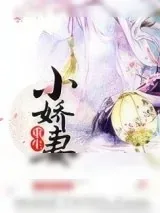 《讨老婆欢心的一百零一种招式》小说封面