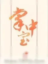 《掌中宝》小说封面