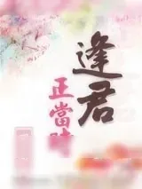 《逢君正当时》小说封面