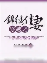 《穿越之锦绣佳妻》小说封面