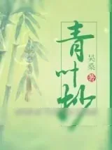 《青叶抄》小说封面