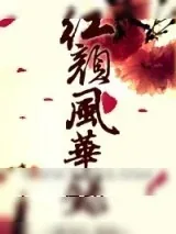 《红颜风华录》小说封面