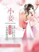 《小妾》小说封面
