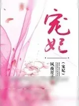 《宠妃（复仇文）》小说封面