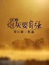 《穿越之炮灰在九零年代》小说封面