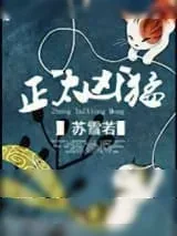 《正太凶猛》小说封面