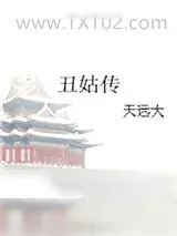 《丑姑传》小说封面