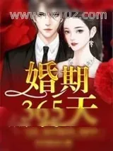 《婚期365天》小说封面