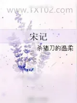 《宋记》小说封面