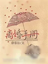 《离婚手册》小说封面