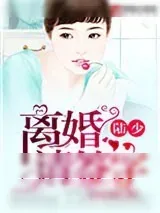 《陆少,离婚请签字》小说封面