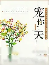 《宠你上天》小说封面
