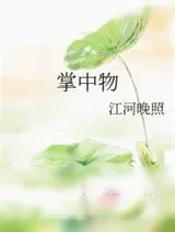 《掌中物》小说封面