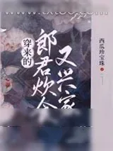 《穿来的郎君炊食又兴家》小说封面