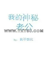 《我的神秘老公》小说封面