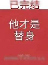 《他才是替身》小说封面