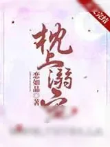 《枕上溺宠》小说封面