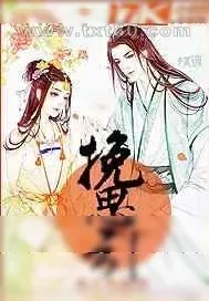 《挽思引》小说封面