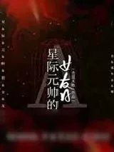 《联邦元帅的女友A》小说封面