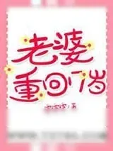 《老婆重回17岁》小说封面