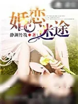 《婚恋迷途》小说封面