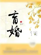 《盲婚》小说封面