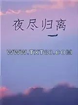 《夜尽归离》小说封面