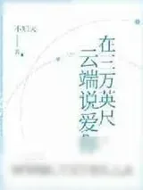 《在三万英尺云端说爱你》小说封面