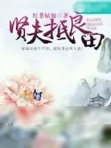 《贤夫抵良田》小说封面