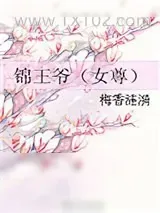 《锦王爷（女尊）》小说封面