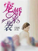 《宠婚来袭》小说封面