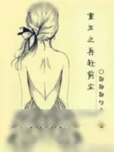 《重生之再赴前尘》小说封面